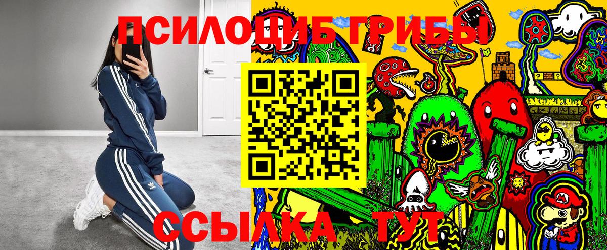 Псилоцибиновые грибы MAGIC MUSHROOMS Каспийск